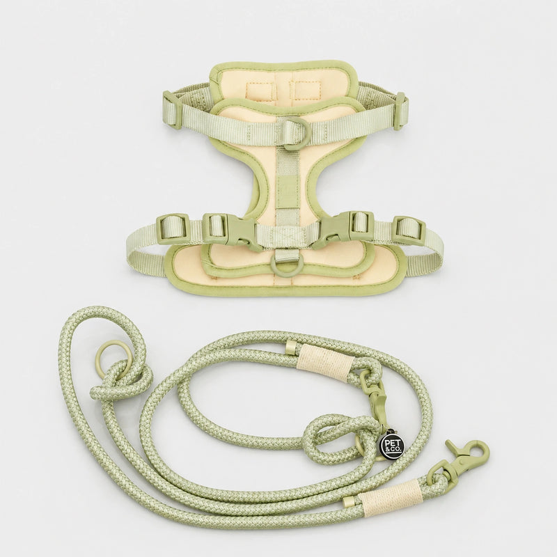 Ben Harness & Leash Set