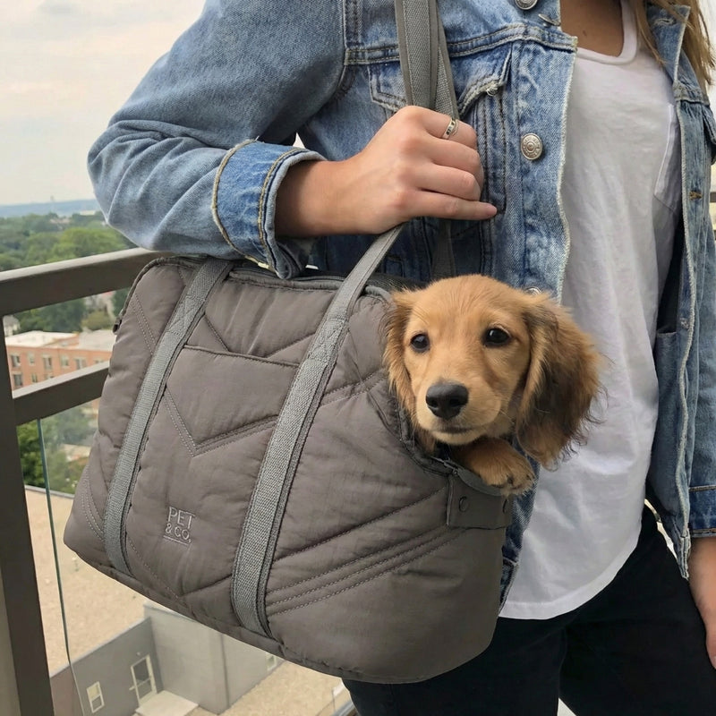 Lola - Sac de luxe pour chien
