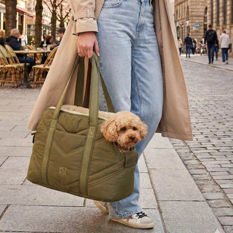 Lola - Luxury Dog  Bag