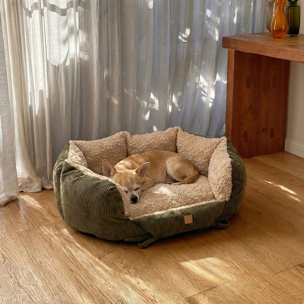Orthopedic dog beds