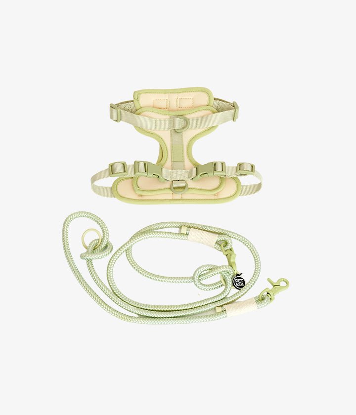 Ben Harness & Leash Set